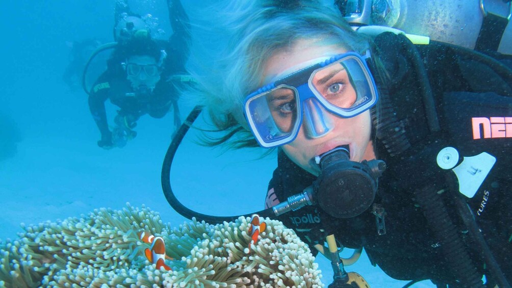 Cesme: Scuba Diving Experience