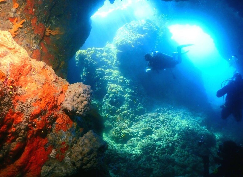 Picture 12 for Activity Cesme: Scuba Diving Experience