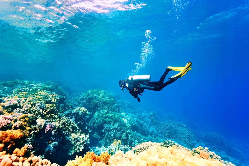 Picture 2 for Activity Marmaris: Scuba Diving Experience with 2 Dives and Lunch