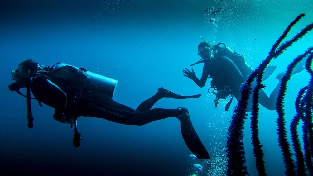 Marmaris: Scuba Diving Experience with 2 Dives and Lunch