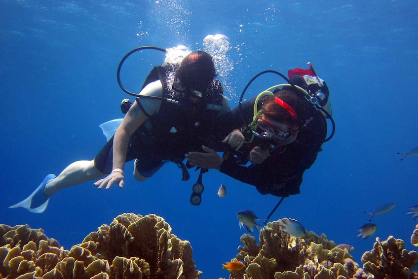 Picture 6 for Activity Marmaris: Scuba Diving Experience with 2 Dives and Lunch