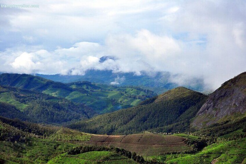 Unveiling Munnar Kerala's Serene Gem in the Western Ghats