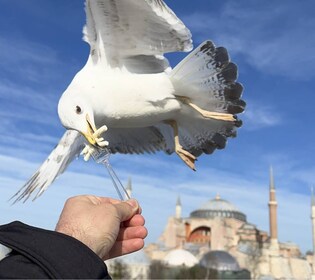 イスタンブールプライベート市内観光ツアー（送迎付き