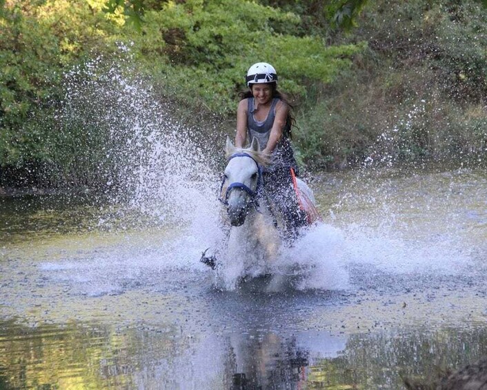 Picture 2 for Activity Marmaris: Horse Riding Experience with Hotel Transfers