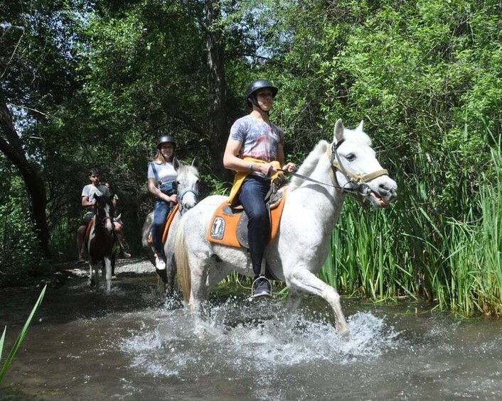 Picture 8 for Activity Marmaris: Horse Riding Experience with Hotel Transfers