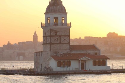 Voiture et chauffeur privés excursion à Istanbul