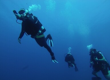 Bodrum: Taucheinweisung und Taucherlebnis