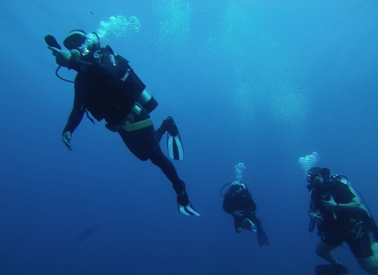 Picture 2 for Activity Bodrum: Scuba Diving Briefing & Diving Experience