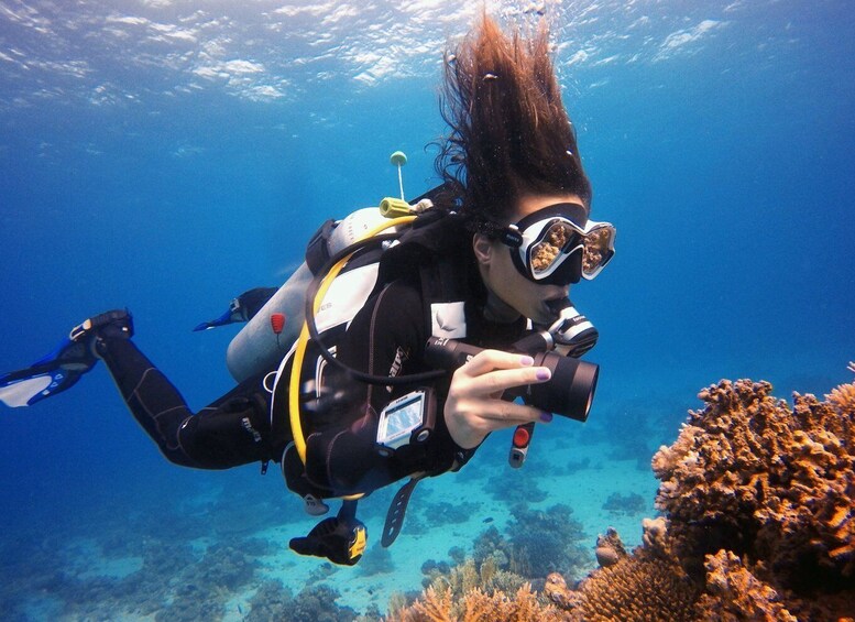 Picture 4 for Activity Kusadasi: Scuba Diving for Beginner or Experienced w/ Lunch