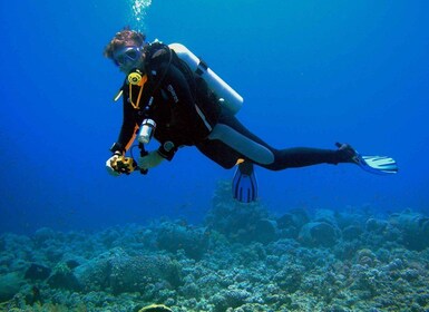 Kusadasi: buceo para principiantes o experimentados con almuerzo