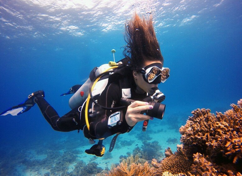 Picture 4 for Activity Kusadasi: Scuba Diving for Beginner or Experienced w/ Lunch