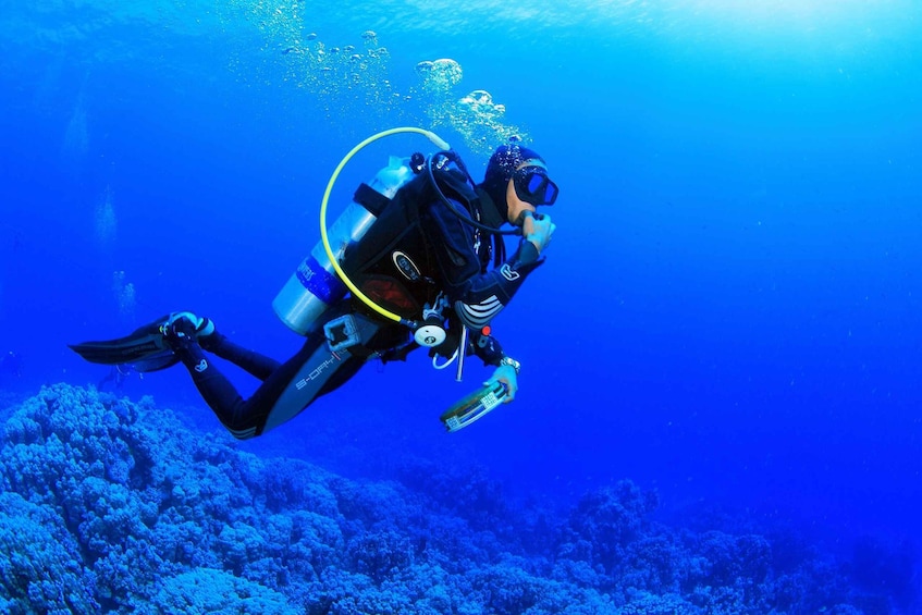 Picture 5 for Activity Kusadasi: Scuba Diving for Beginner or Experienced w/ Lunch