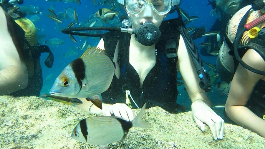 Antalya/Kemer: Scuba Diving Experience with Lunch & Pick up