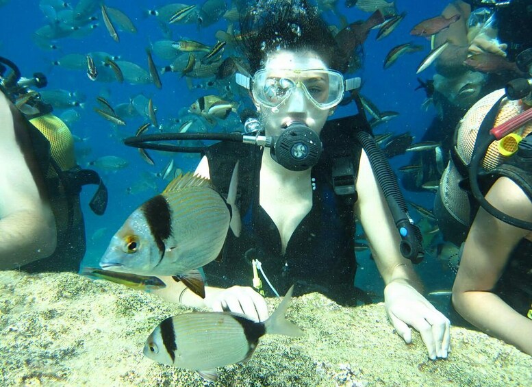 Antalya/Kemer: Scuba Diving Experience with Lunch & Pick up