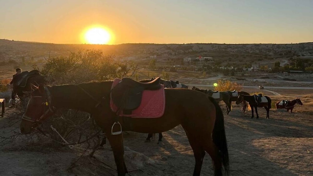 Picture 2 for Activity Cappadocia Horseback Riding Tour