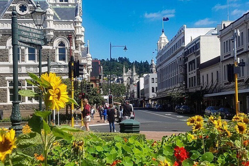 Dunedin City