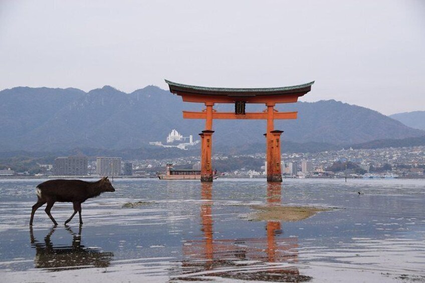 Itsukushima shrine at Miyajima