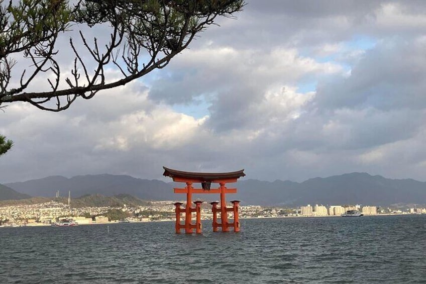 Hiroshima Custom Private Walking Tour with Licensed Guide (4/7h)