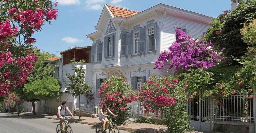Picture 11 for Activity Istanbul: Prince's Island Tour with Lunch and 2 Islands