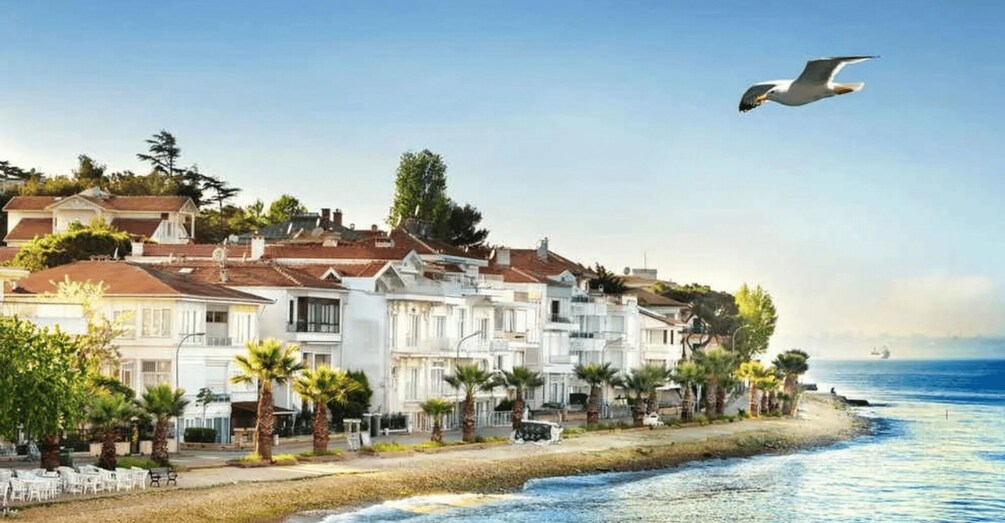 Picture 7 for Activity Istanbul: Prince's Island Tour with Lunch and 2 Islands