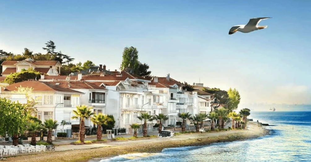 Picture 7 for Activity Istanbul: Prince's Island Tour with Lunch and 2 Islands