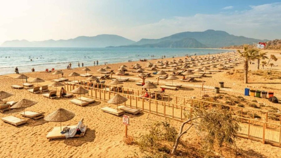 Bodrum: Dalyan Mud Baths & Iztuzu Beach Day Trip with Lunch