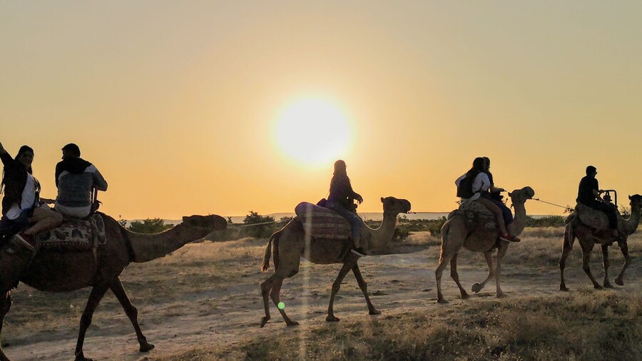 Cappadocia: Sunset or Sunrise Scenic Camel Ride