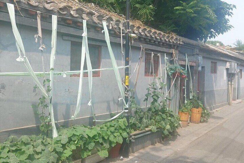 Walk into Mysterious Hutong tour with secret local snacks lunch.