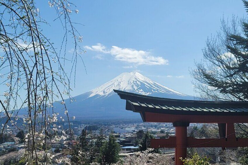 1 Day Mount Fuji Tour with English Speaking Driver