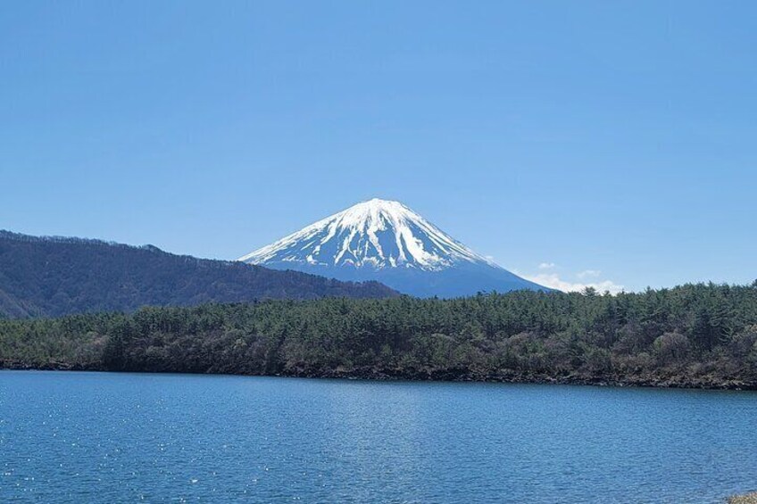 1 Day Mount Fuji Tour with English Speaking Driver