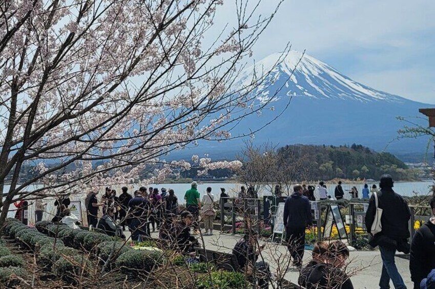 1 Day Mount Fuji Tour with English Speaking Driver