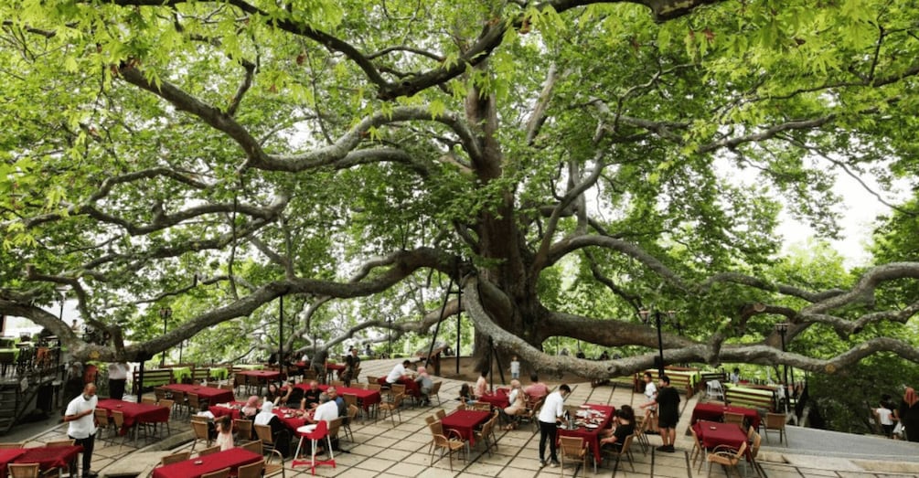 Picture 4 for Activity From Istanbul: Bursa and Uludag Tour with Lunch & Cable Car