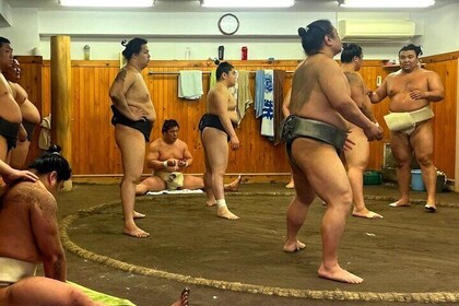 Tokyo Highlights Tour : Sumo, Sushi, Tea, Temples and Tokyo Tower