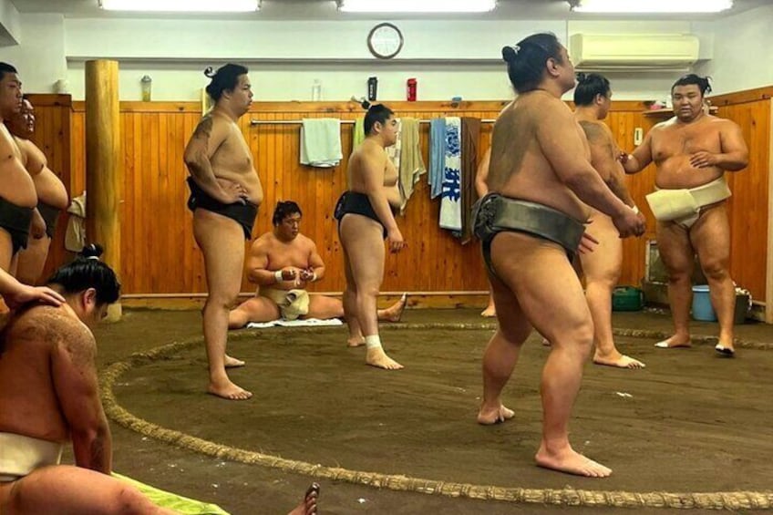 Tokyo Highlights Tour : Sumo, Sushi, Tea, Temples and Tokyo Tower