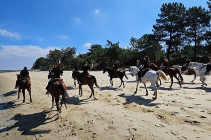 Private Bachelorette Party with Horseback Riding on the Beach