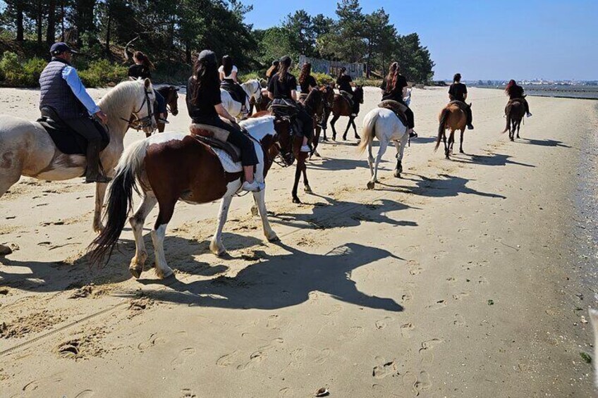 horseback riding on the beach with the bride