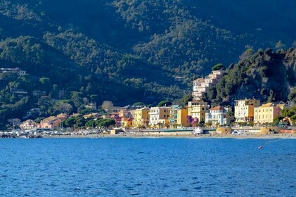 Tour privato a piedi delle Cinque Terre da Monterosso