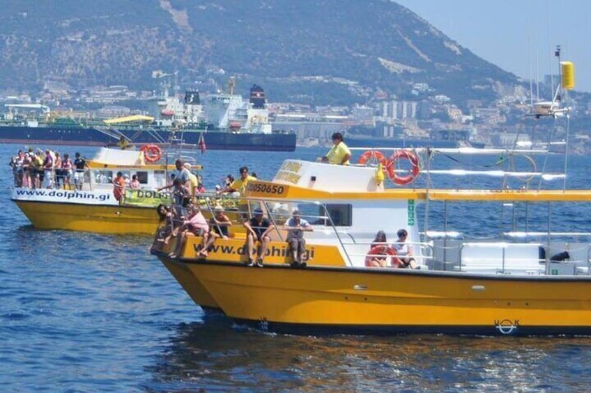 Excursion to Gibraltar with Dolphin Watching from Malaga