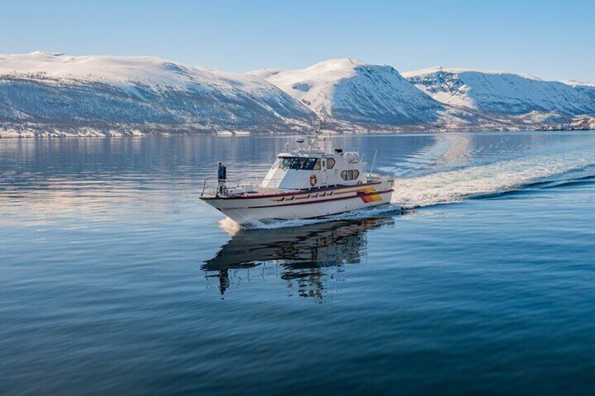 Fjord Safari in the Altafjord 