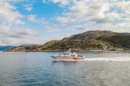 Fjord Safari in the Altafjord