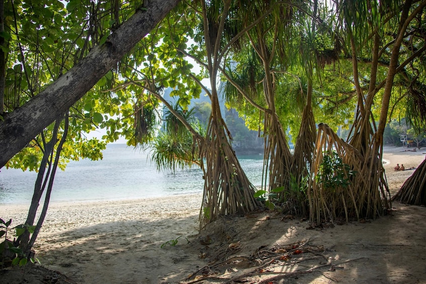 Andaman Sea Kayak