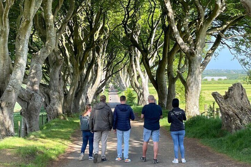 The Dark Hedges