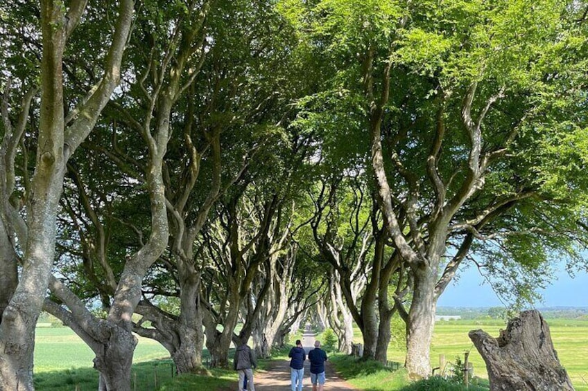 Luxury Tour of Giants Causeway from Belfast 