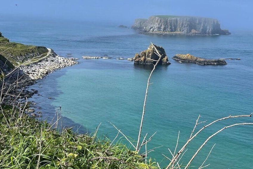 Luxury Tour of Giants Causeway from Belfast 