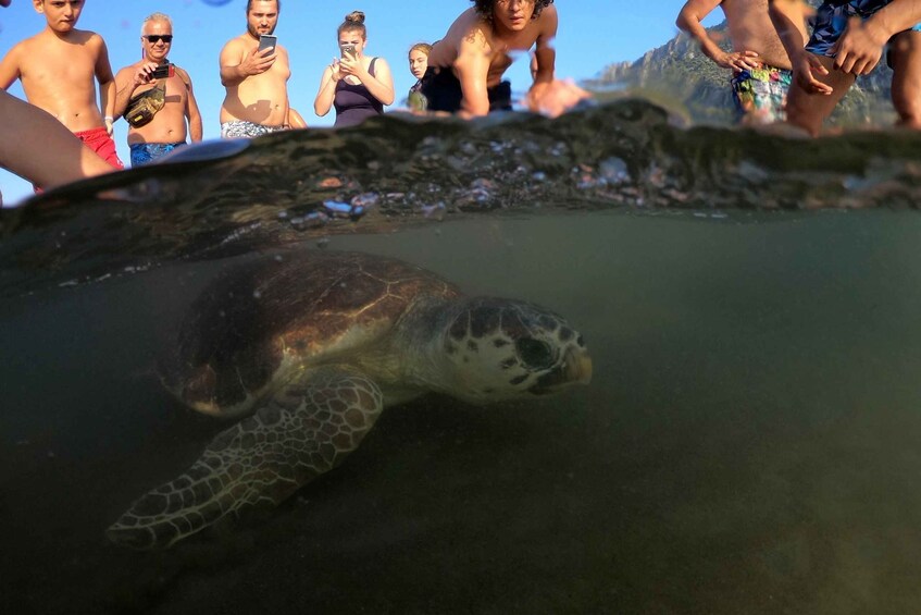 Picture 2 for Activity Didim: Dalyan Tour with Turtle Beach, Mud Bath & Lunch