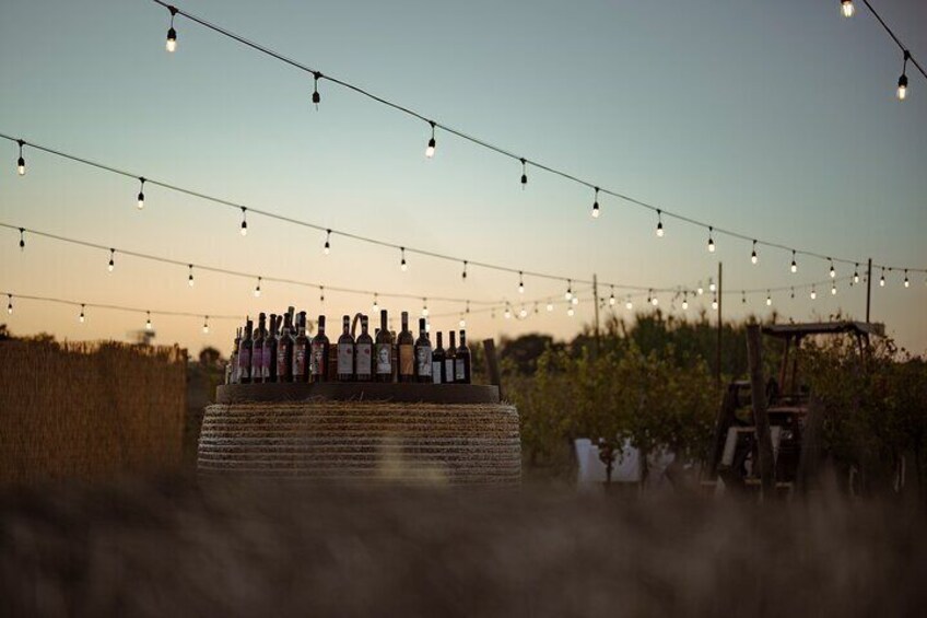 Romantic Dinner in the Vineyard at Poggio ai Laghi Winery