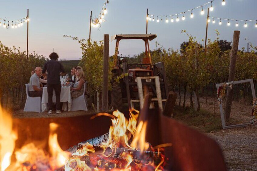 Romantic Dinner in the Vineyard at Poggio ai Laghi Winery