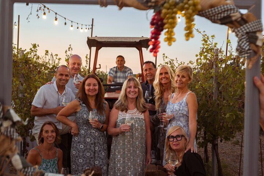 Chianti: Tuscan Vineyard Dinner with Wine Tasting