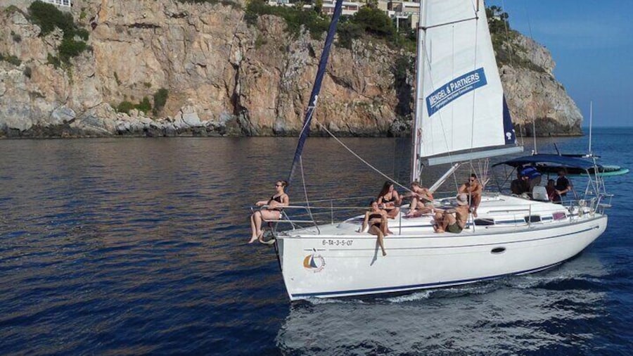 Navigation and dolphin watching Shared Experience