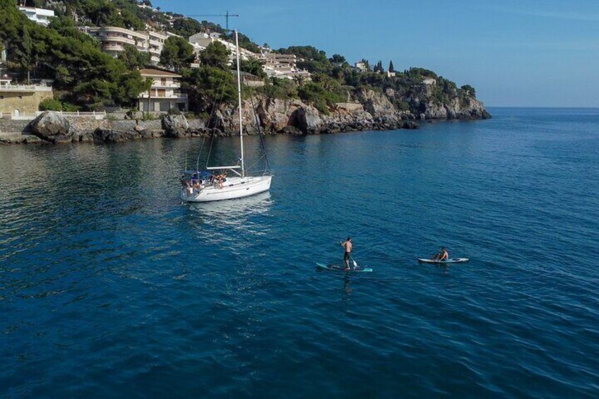 Navigation and dolphin watching Shared Experience